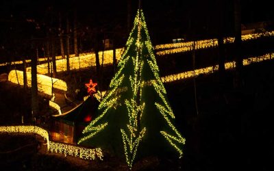 Ketterer’s Giant Christmas Tree