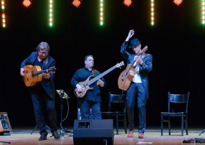 MagicAcousticGuitars_00014