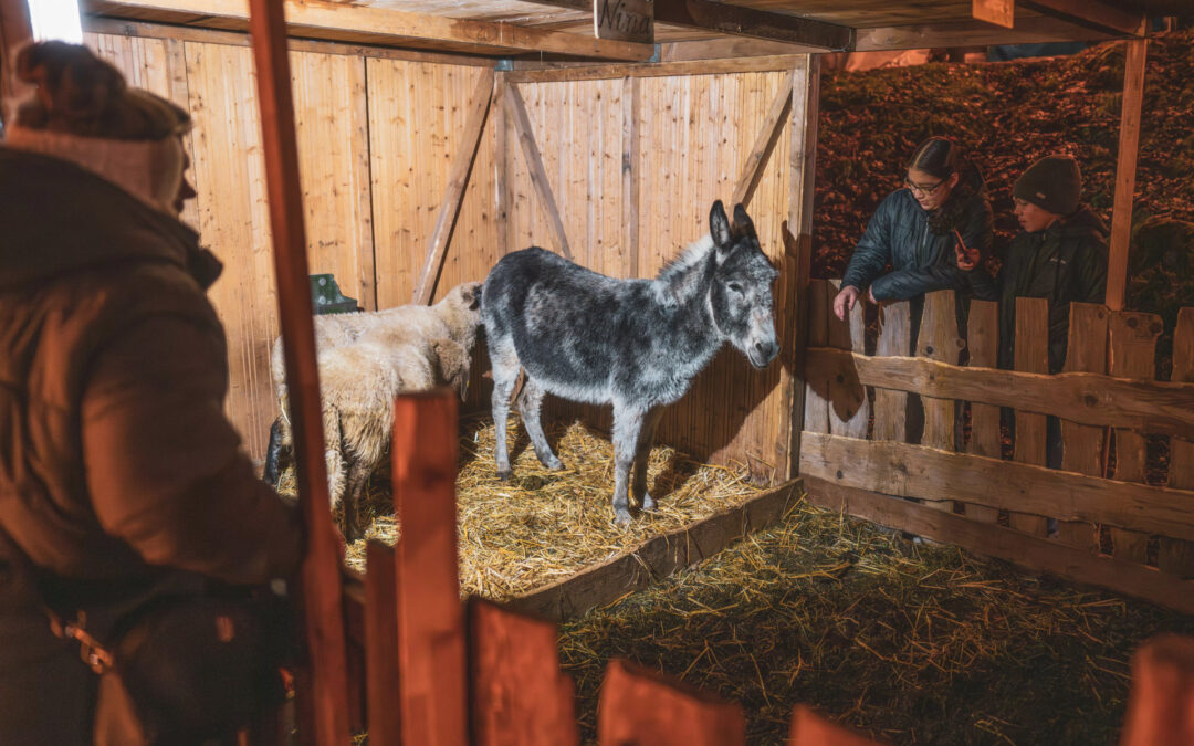 Nativity Scene