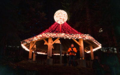 Giant Christmas Hat